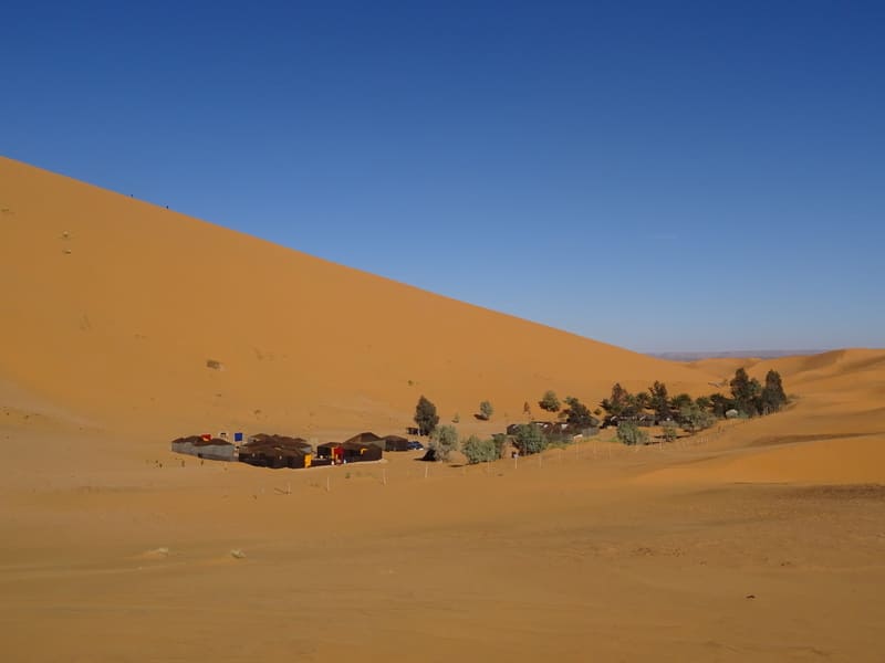 Oasis et campement .