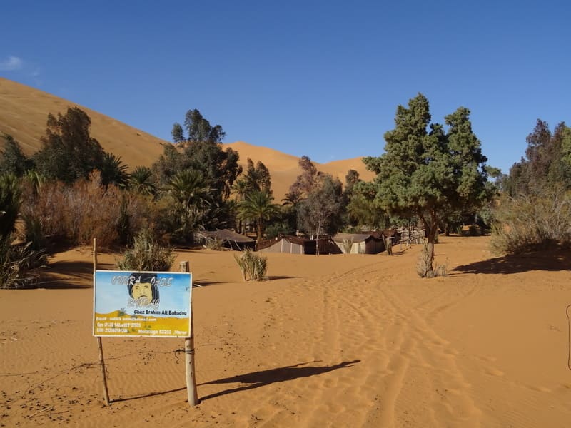 oasis