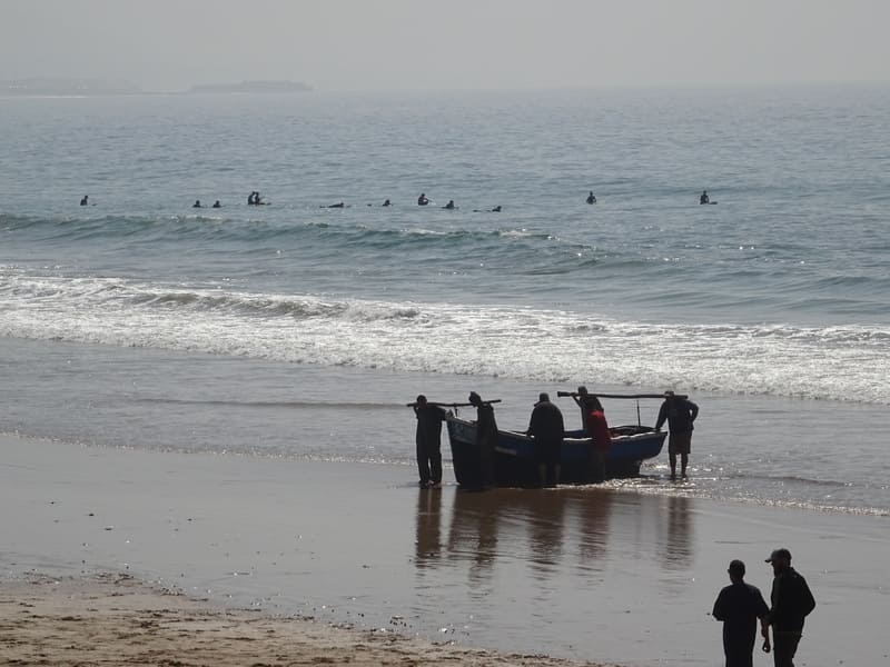Retour de pêche!