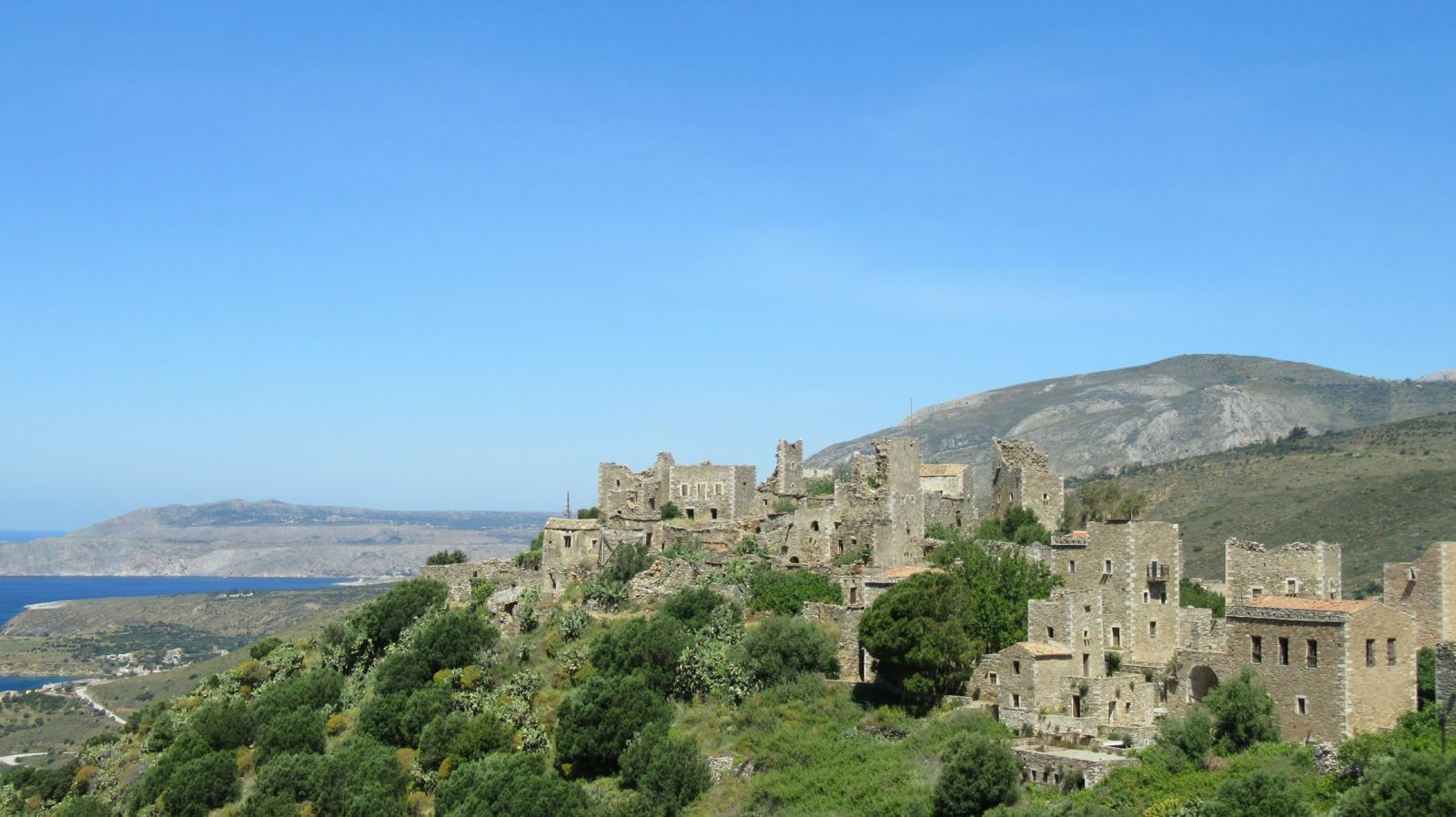 Img 0993