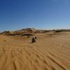 Les dunes de sable