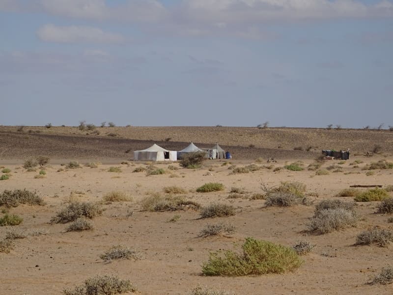 Nomades dans le désert