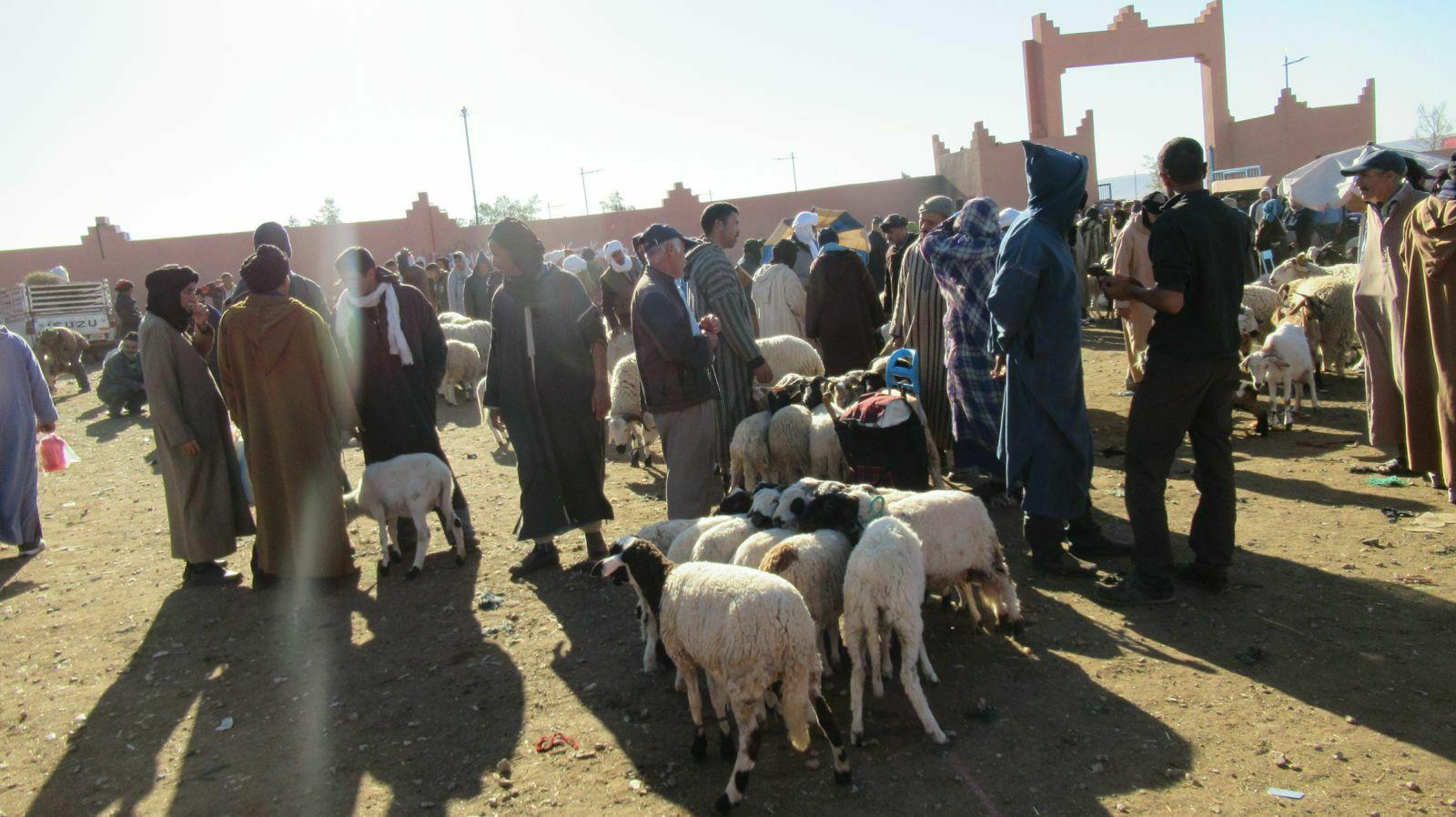 SOUK AUX DROMADAIRES