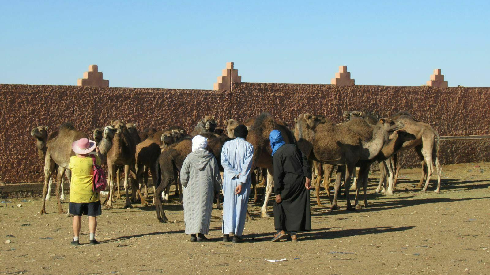 SOUK AUX DROMADAIRES