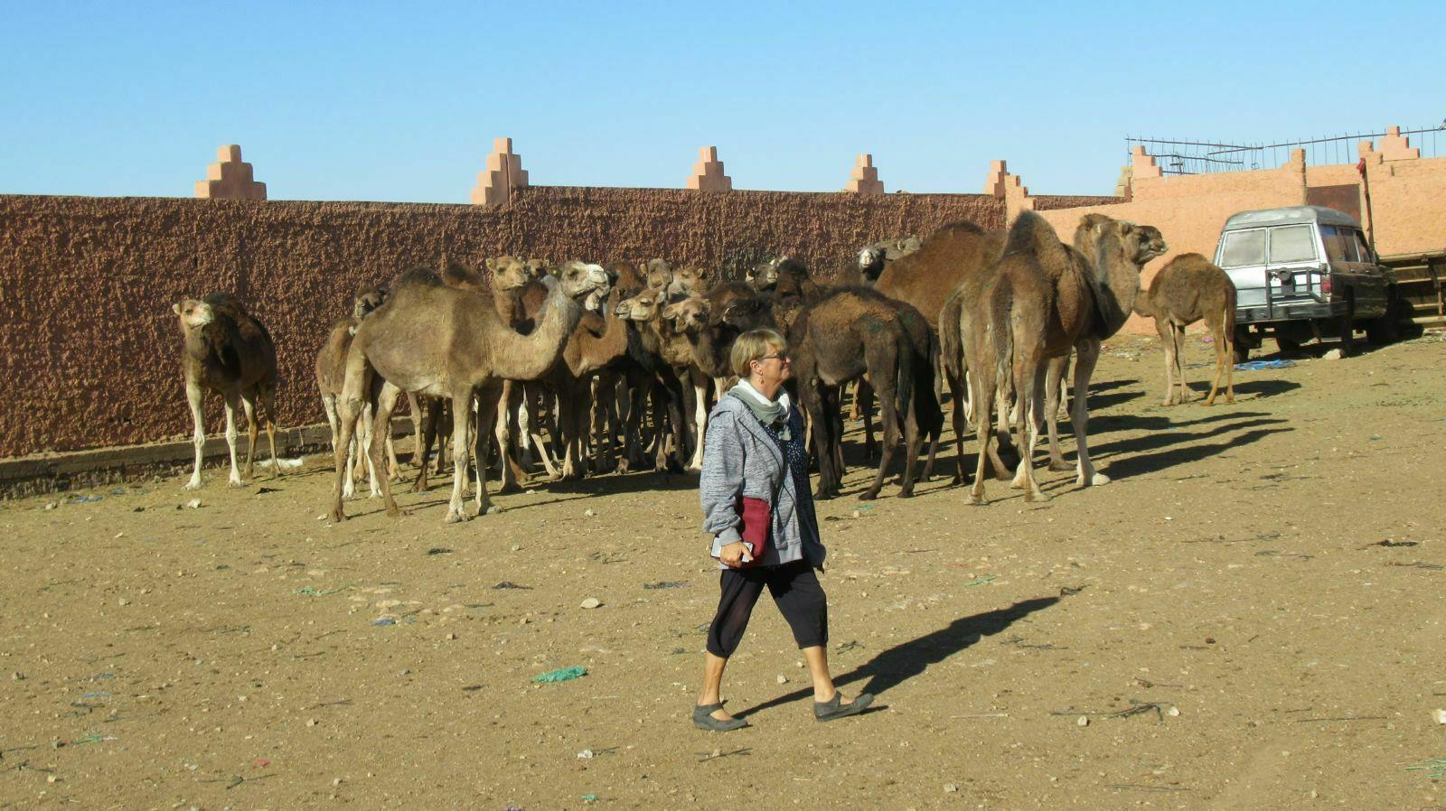 SOUK AUX DROMADAIRES