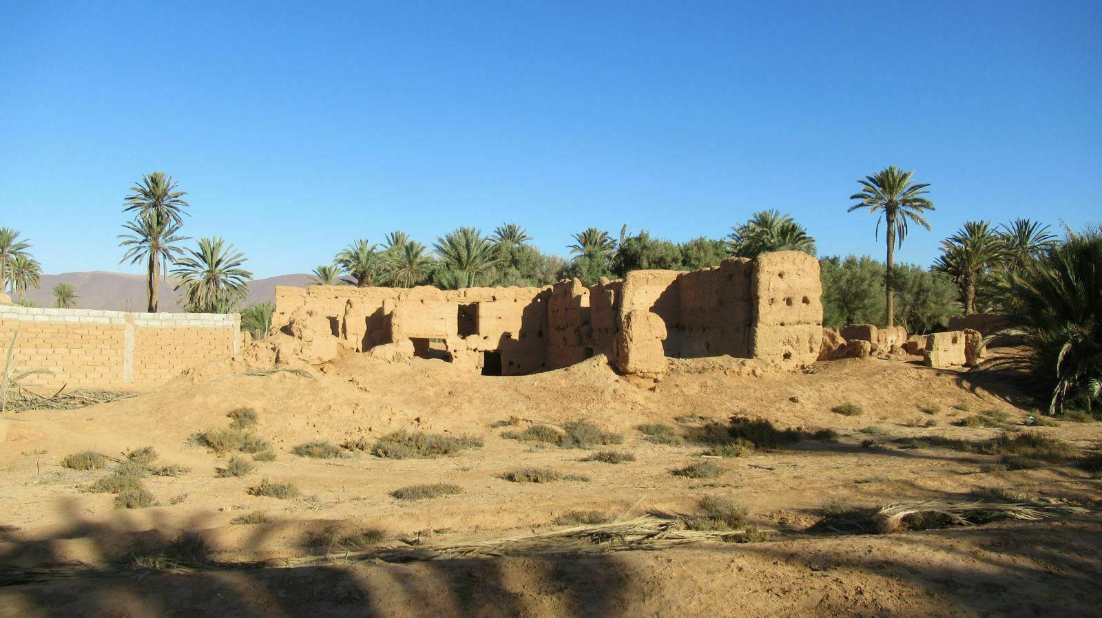 RUINE MAISON DANS PALMERAIE