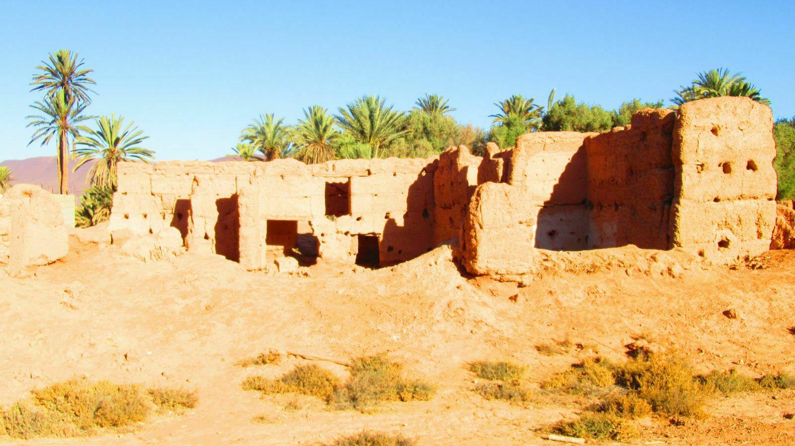 RUINE MAISON DANS PALMERAIE