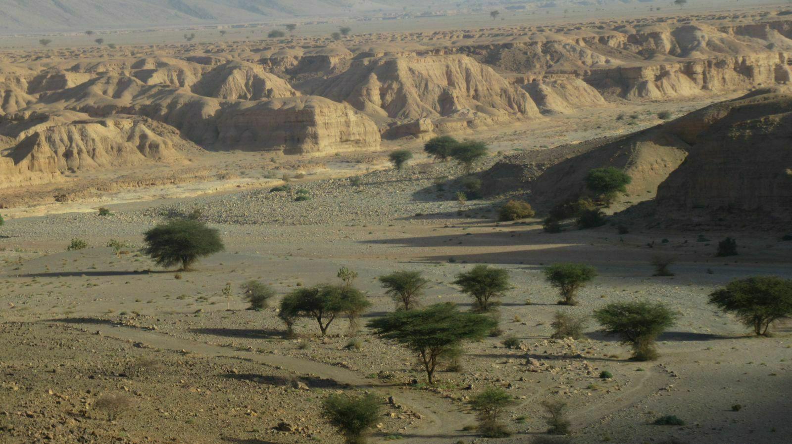 PAYSAGE SUR LA ROUTE