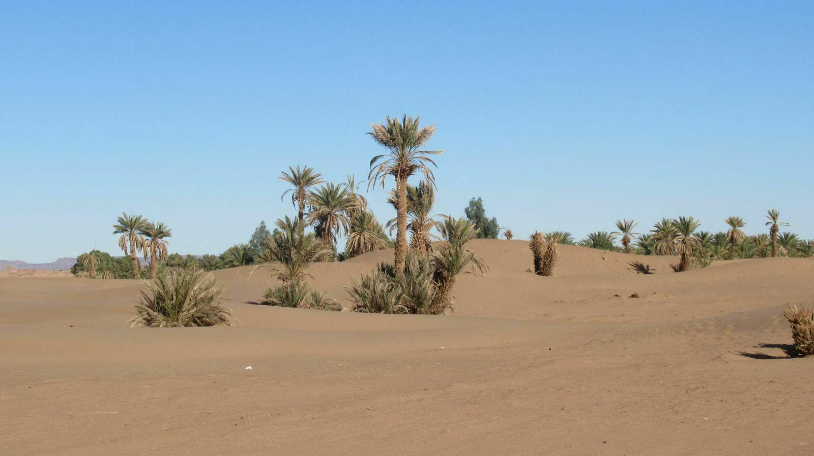 DESERT EN QUAD